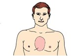 Anginal pain is usually centred in the chest region