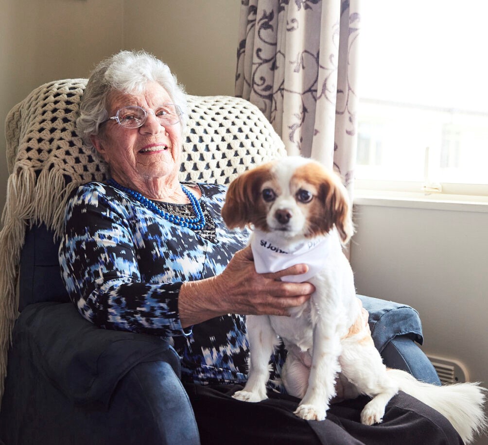 Photo of a dog with an outreach staff member