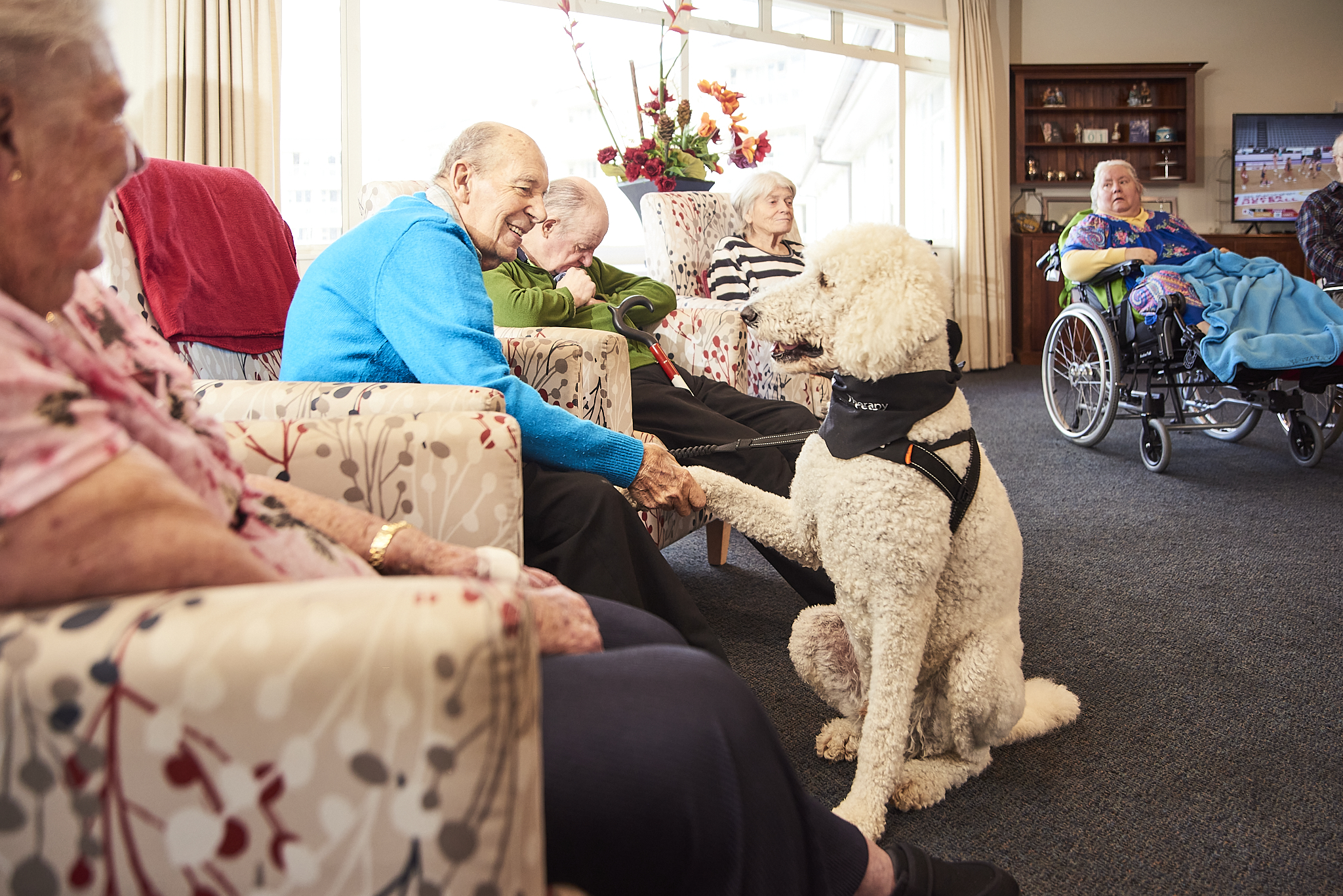 Therapy dog shaking rest home residents hand