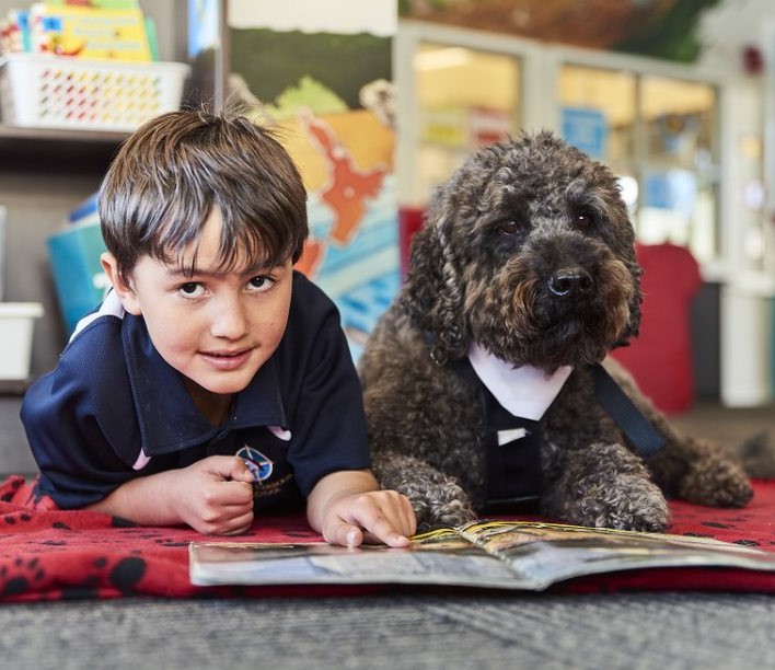 young boy with therapy pet dog in the library