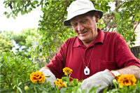 Enquire about St John Medical Alarms