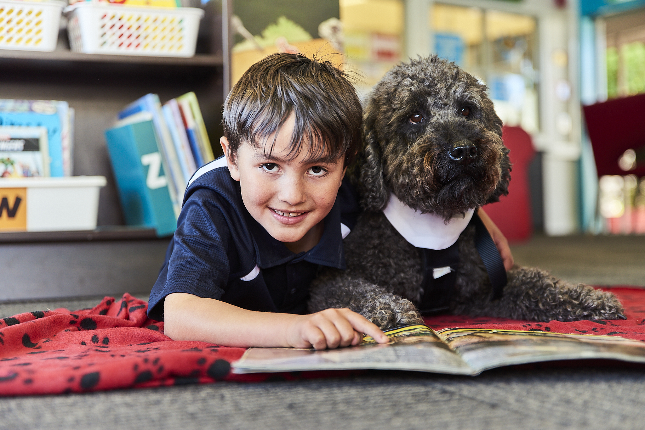 Reading with a therapy pet
