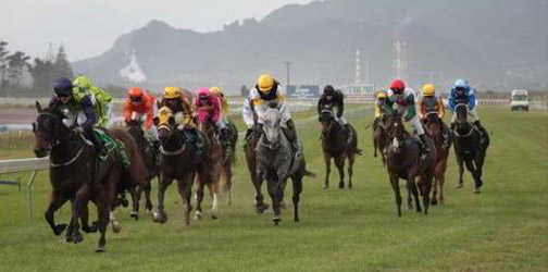 NZ Thoroughbred Racing Meetings